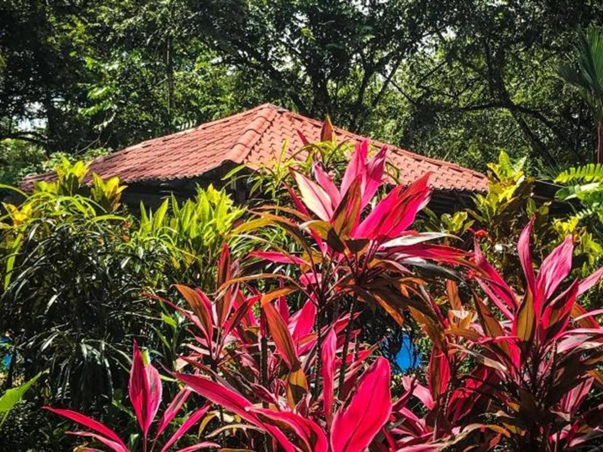 Casa Colores Montezuma Kültér fotó