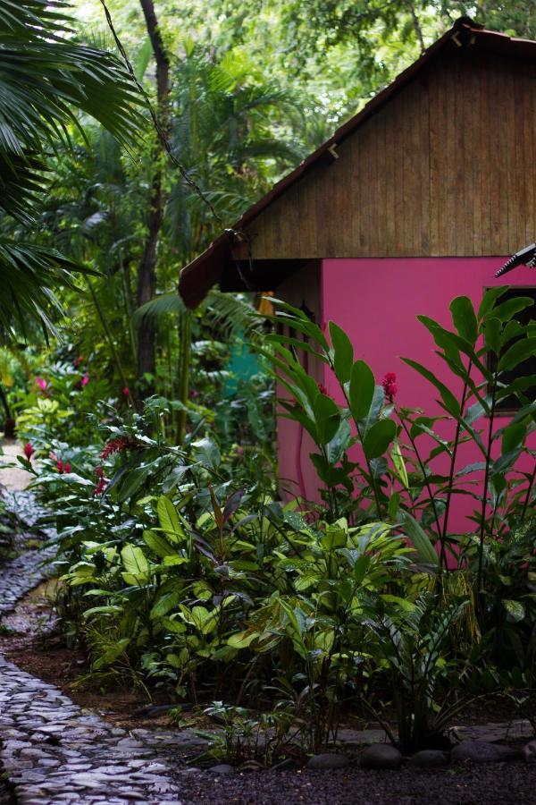 Casa Colores Montezuma Kültér fotó
